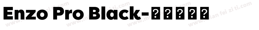 Enzo Pro Black字体转换
